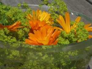 4 Sterne Appartement Ringelblume Ferlhof Kruen