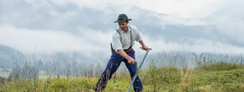 Landwirte für nachhaltiges Grünland