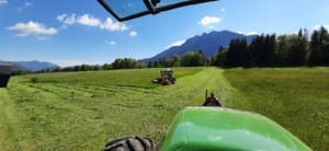 Ferlhof - Sommerwiese, der erste Schnitt