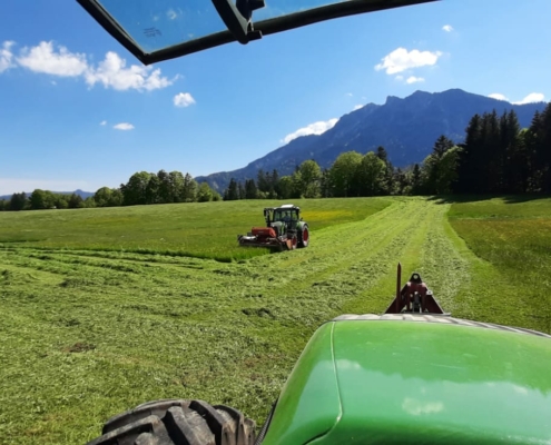 Ferlhof - Sommerwiese, der erste Schnitt