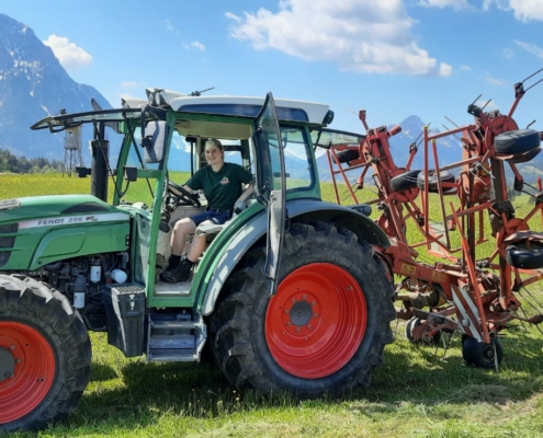 Ferlhof - Sommerwiese, der erste Schnitt