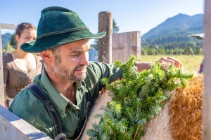 Luis beim Aufputzen für den Almabtrieb