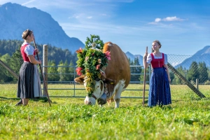Die Töchter beim Almabtrieb