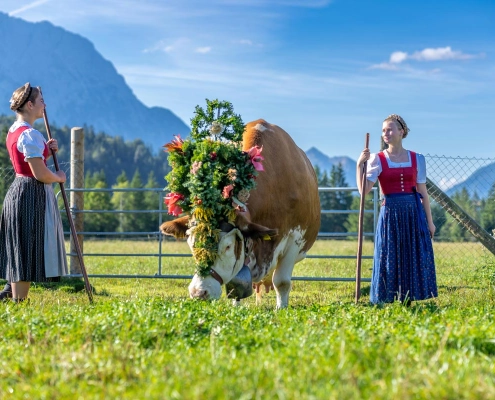 Die Töchter beim Almabtrieb