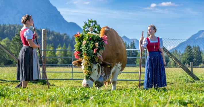 Die Töchter beim Almabtrieb